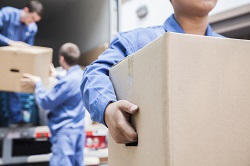 Man and Van Removal Services London